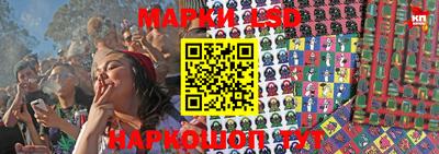 молекула духа Ставрополь