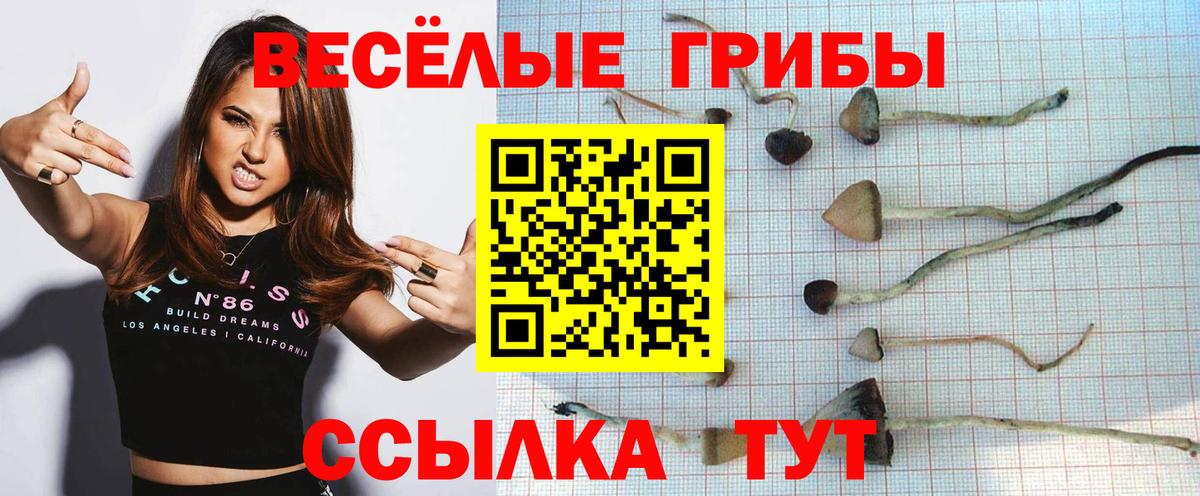 Псилоцибиновые грибы GOLDEN TEACHER  Галлюциногенные грибы мухоморы  Вход с VPN  Нижнекамск 
