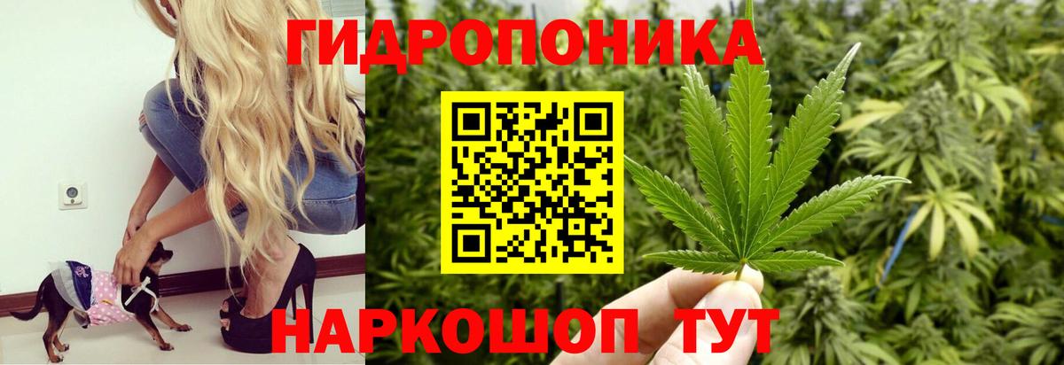 Канабис THC 21%  Шишки марихуана индика  Вход с VPN  Нижнекамск  Бошки марихуана SATIVA & INDICA 